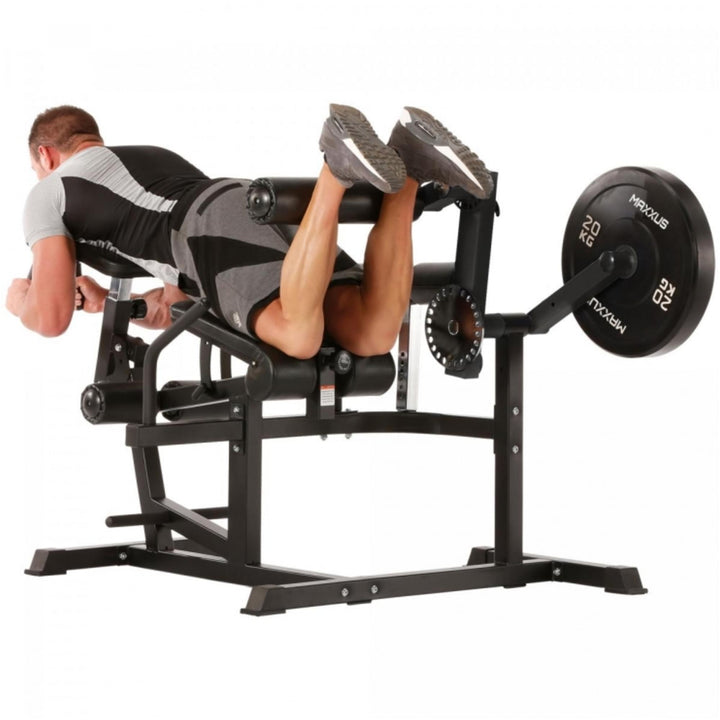 Maxxus Multi Trainer Pro - Gorilla Sports Ro